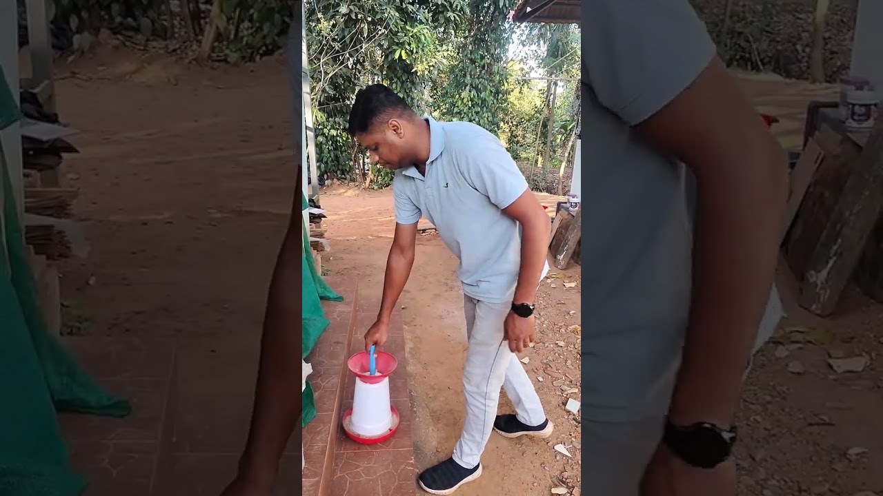 നാടൻ കോഴി കൃഷി