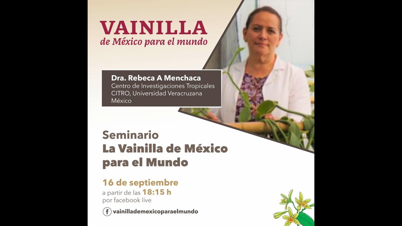 La vainilla de México para el mundo