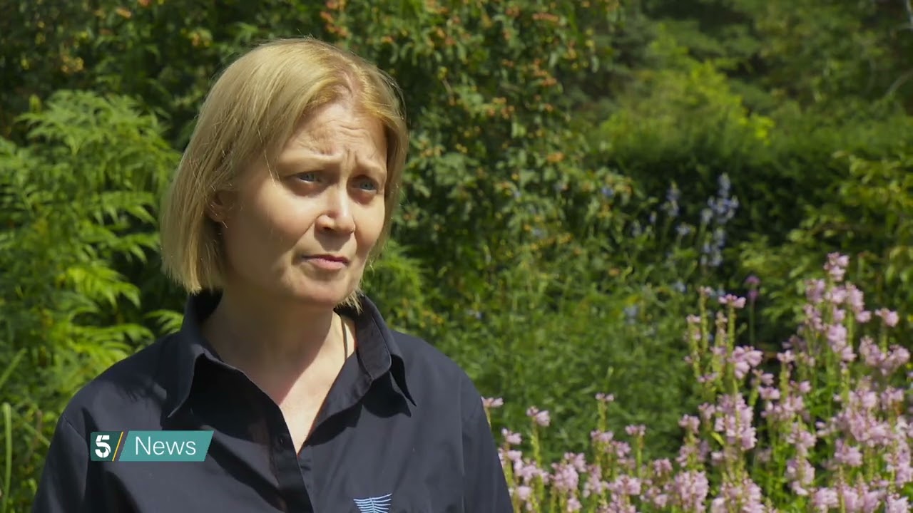 Hosepipe ban begins in Hampshire and Isle of Wight | 5 News