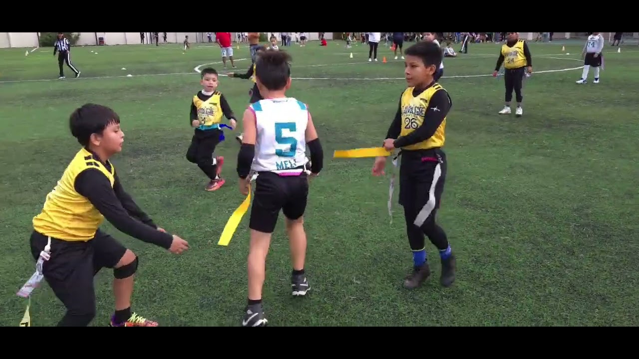 SAVAGE VS JAGUARES