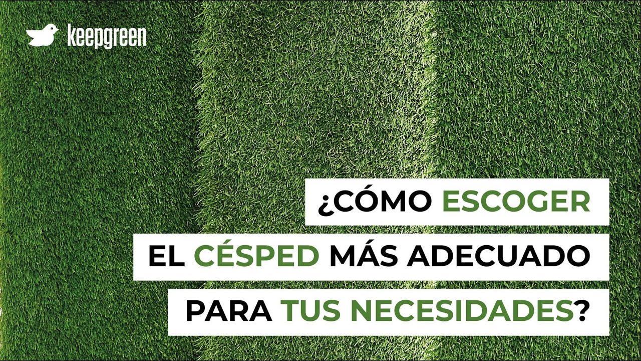 ¿Cómo escoger el césped más adecuado para tus necesidades?