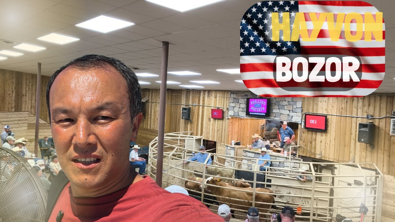 Amerikadagi Mol Bozoriga bordim | Texas, AQSH