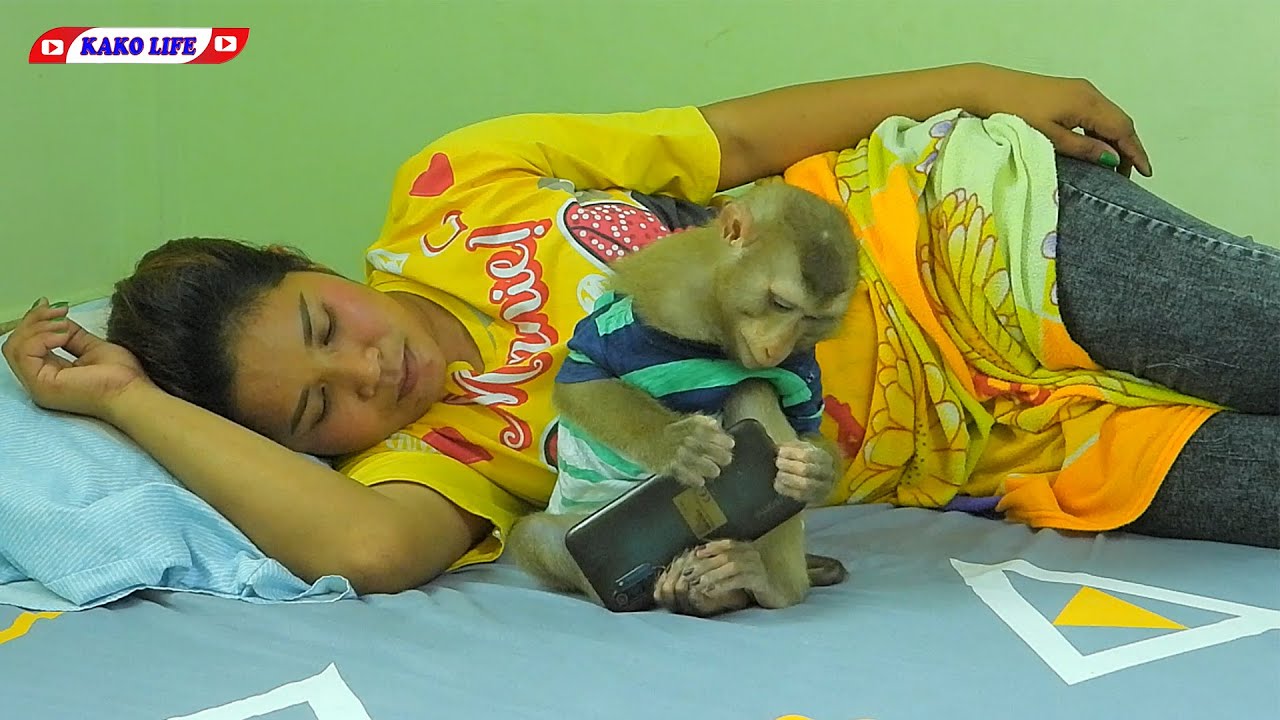 KAKO LIFE | Little KAKO Playing Smartphone