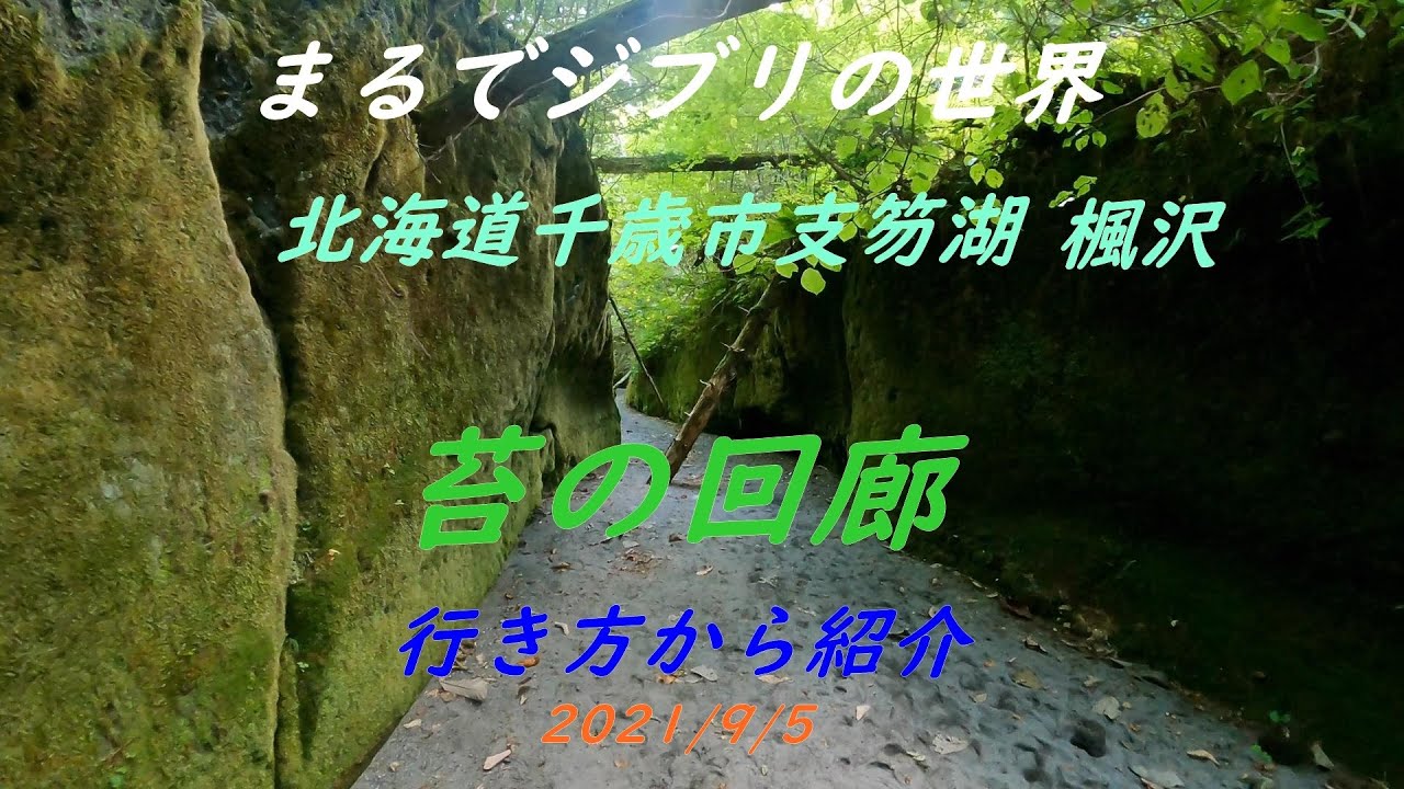 2021/9/5　北海道千歳市　苔の回廊