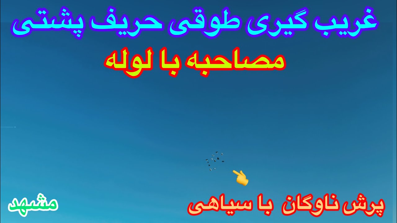 غریب گیری طوقی حریف پشتی/مصاحبه با لوله/سرگذشت جوجه پاساگ/پرش؛چاشنی با لوله/عشق بازان ایران /مشهد