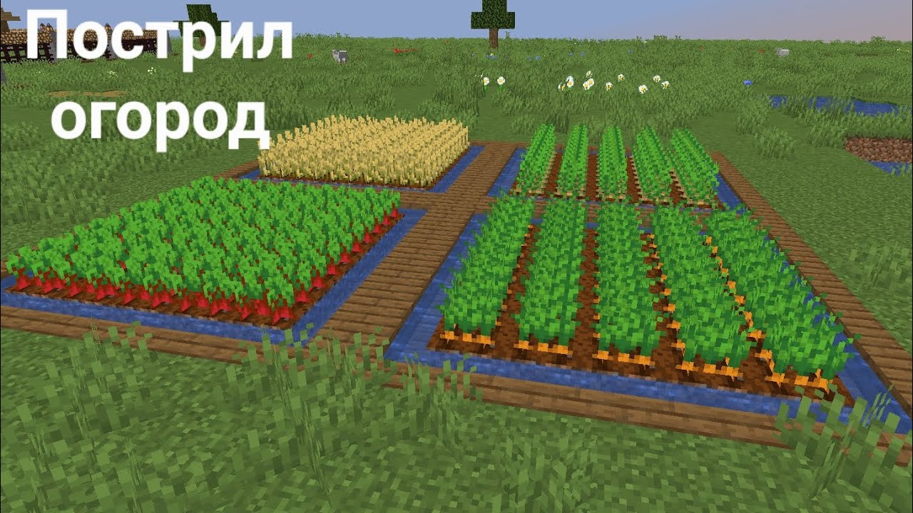 Пострил огород на сервере Ultra mine от нуба до про