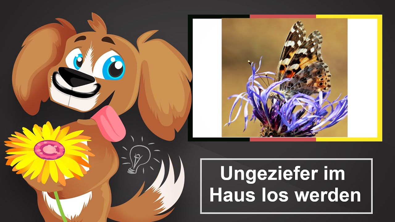 🐶 Ardap Ungezieferspray &ndash; Anwendung und Tipps