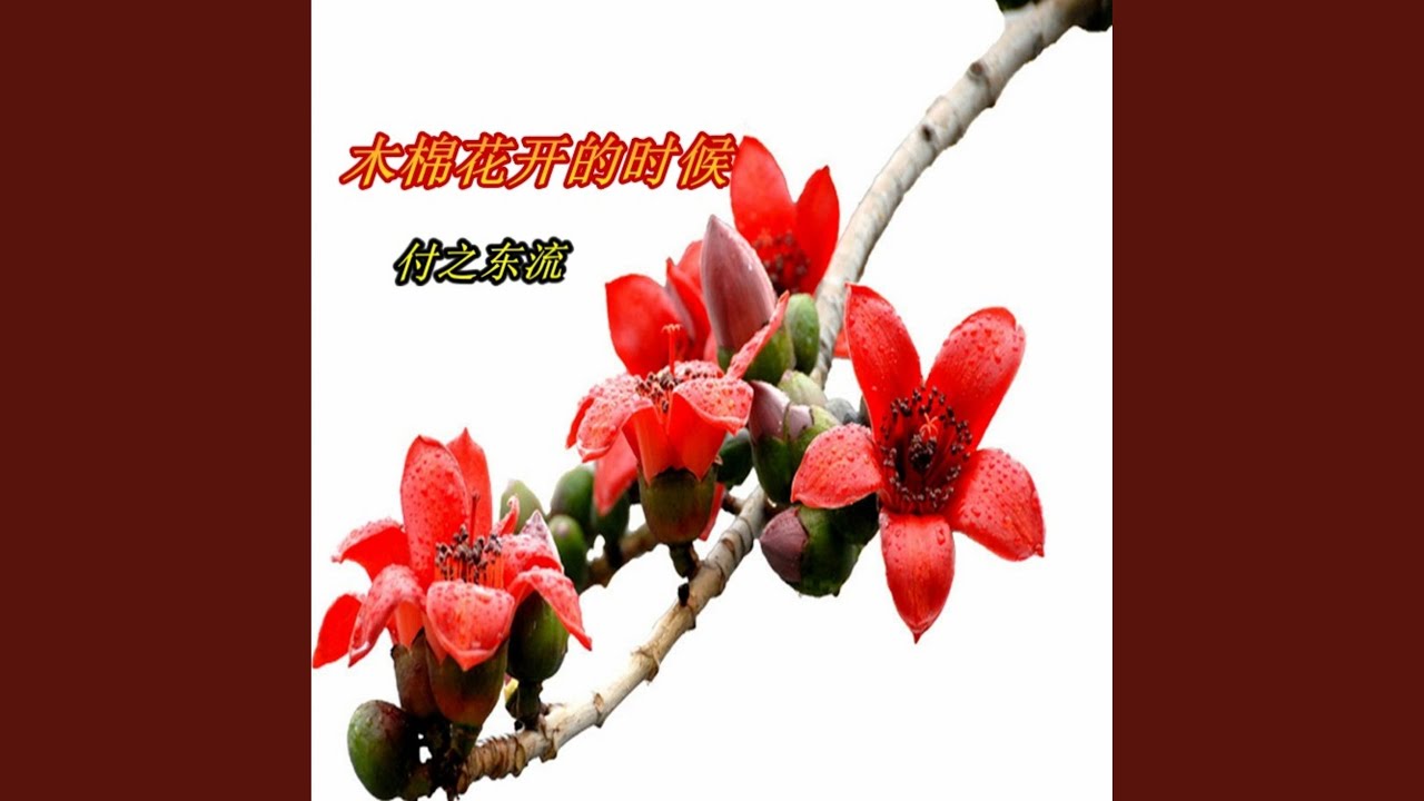 木棉花开的时候
