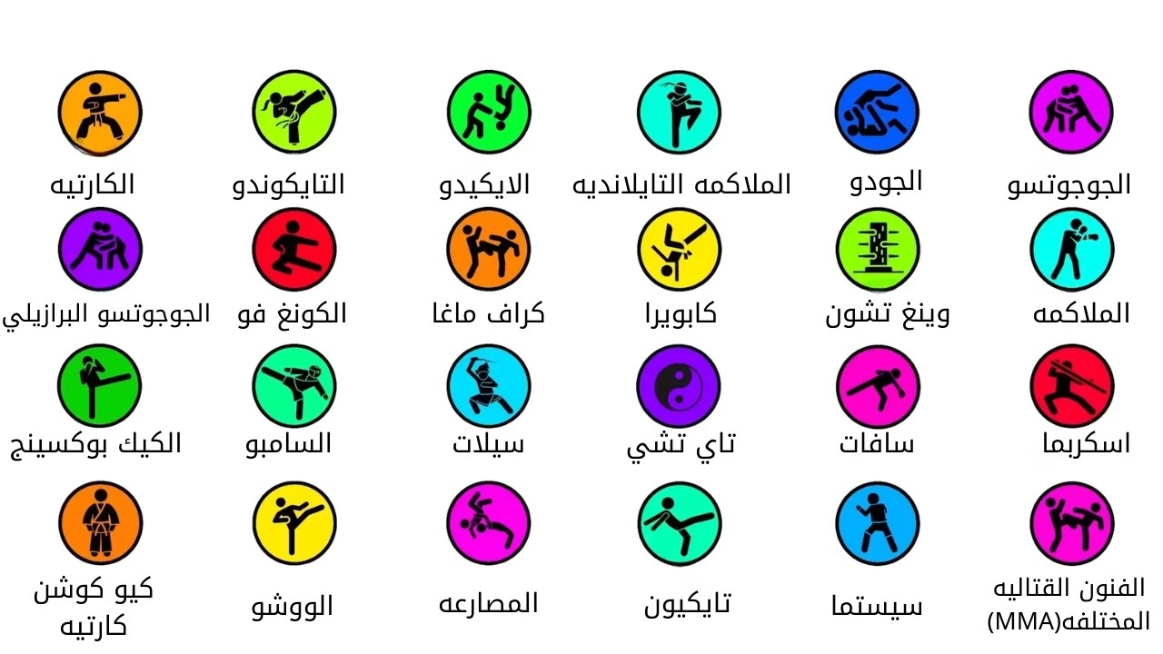شرح جميع انواع الفنون القتاليه في 19 دقيقه .