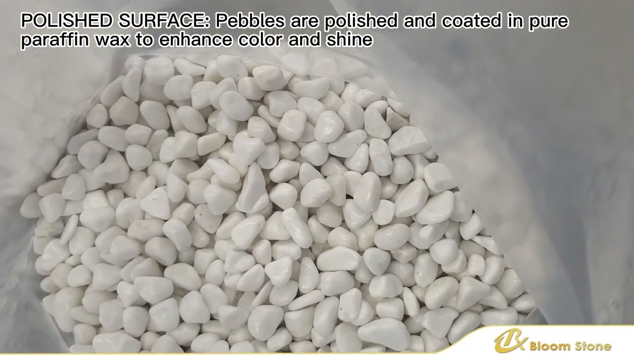 China High Polished Snow White Pebble Stone,Super Shiny,Pure White,Small size -Bloom Stone