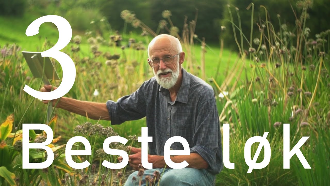 3 beste flerårlige løk å dyrke i Norge - Stephen Barstow