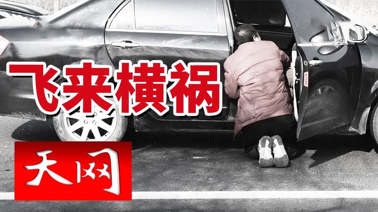 《天网》离奇车祸！货车轮胎“发射”致命石头 受害人当场丧命！20250429