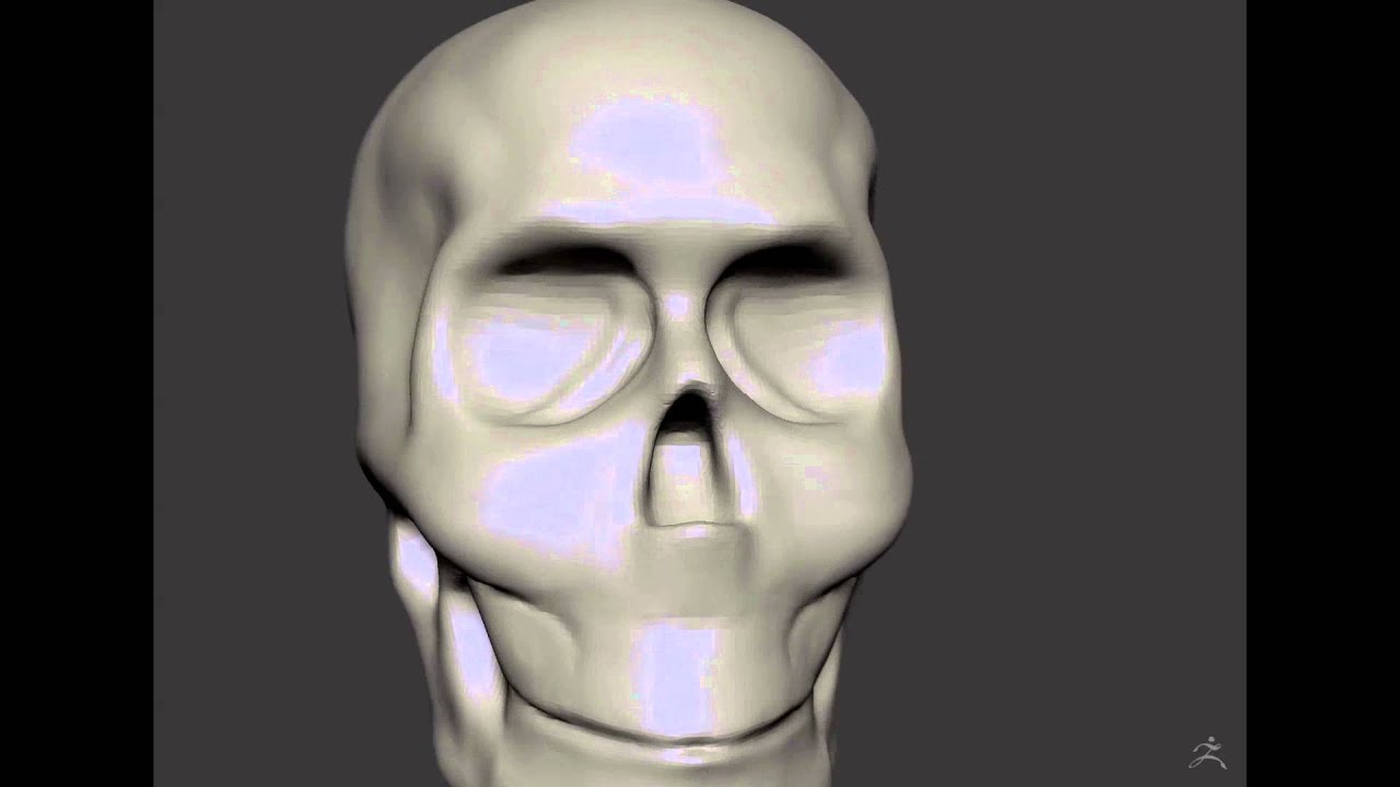 Pixologic Zbrush Speed Sculpt Skull