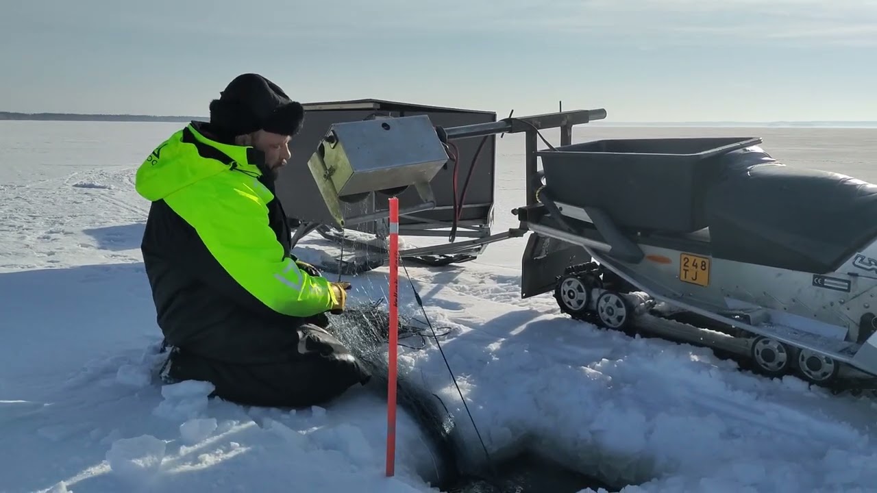 Talviverkkojen koenta koneella