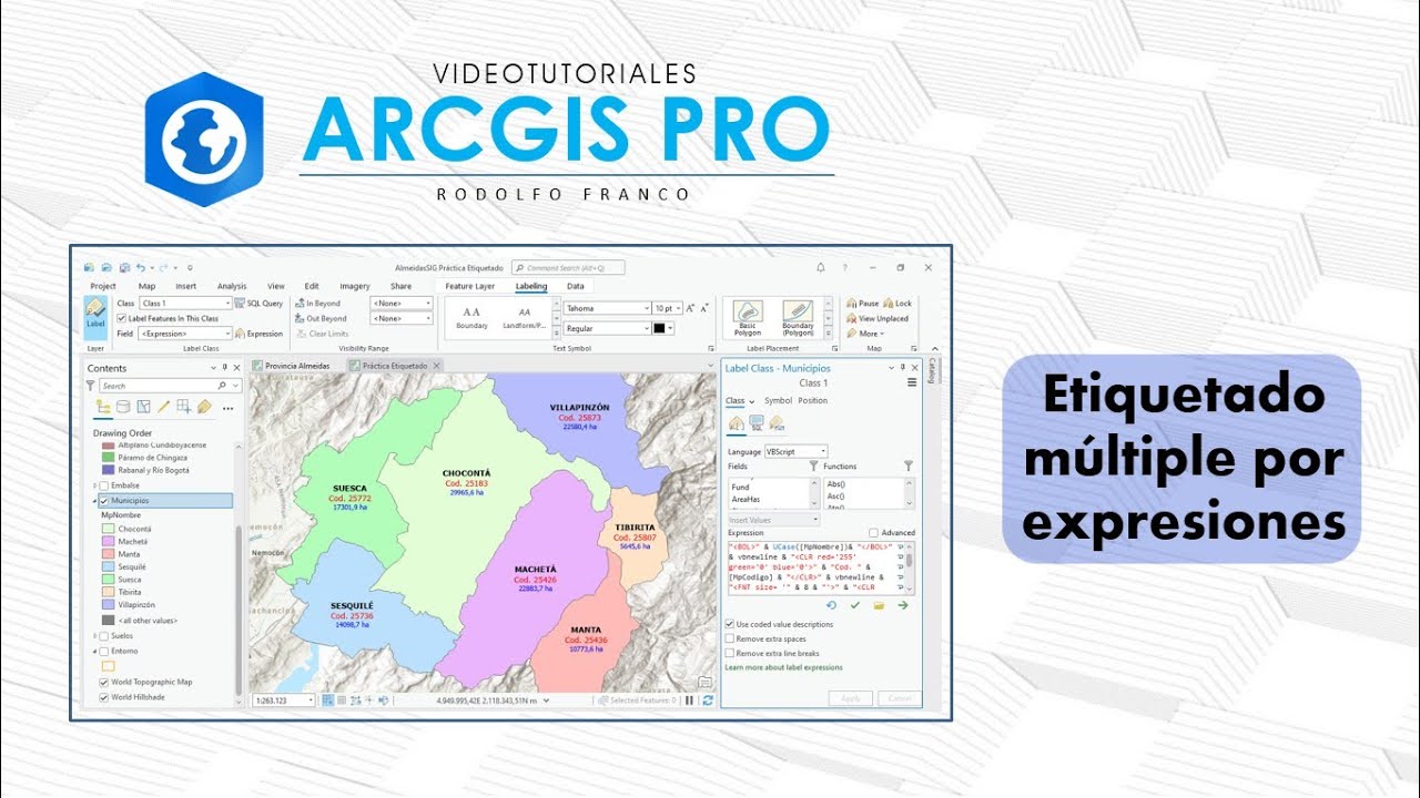 ArcGis Pro - Etiquetado múltiple por expresiones