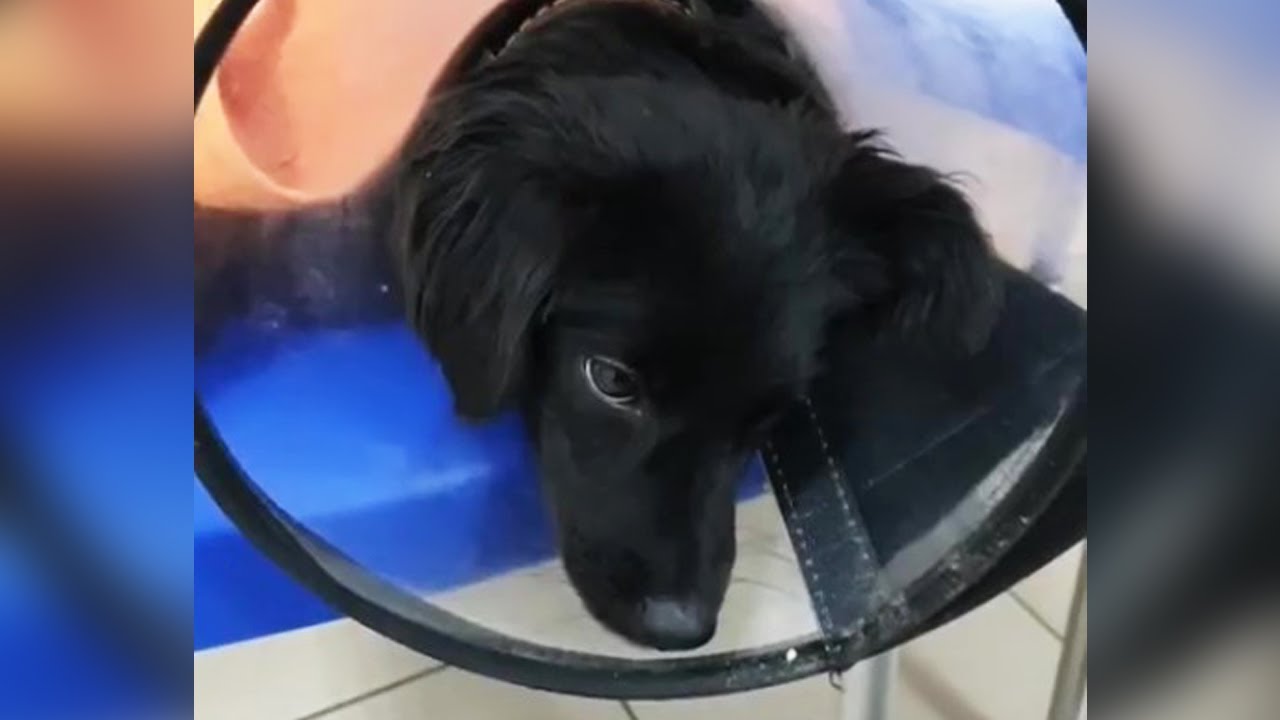 He wanted to close his eyes after a month of seeking help with his dangling gangrene leg