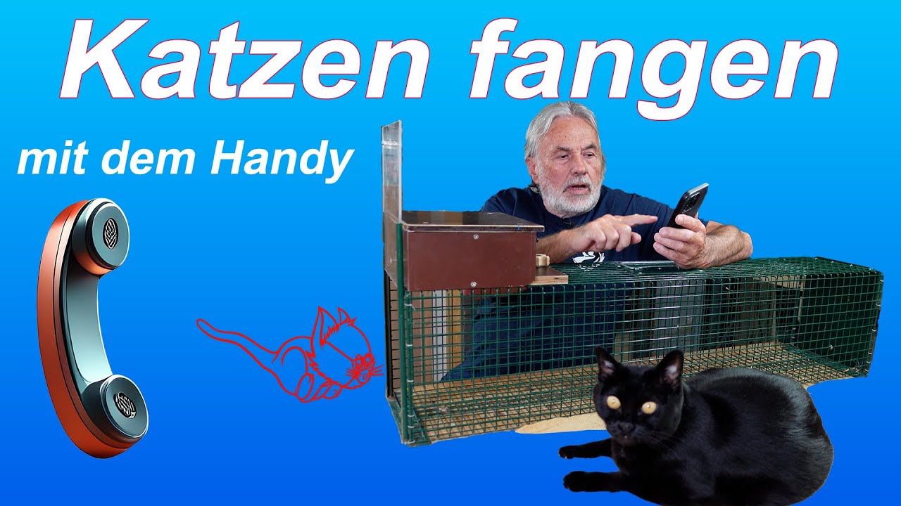 Katzenfalle mit Fernauslöser