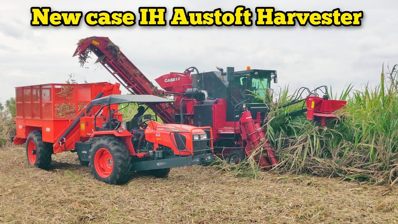 Case IH Austoft 4010 MAXX 180 HP sugarcane harvester performance & full review | Agriculture INDIA