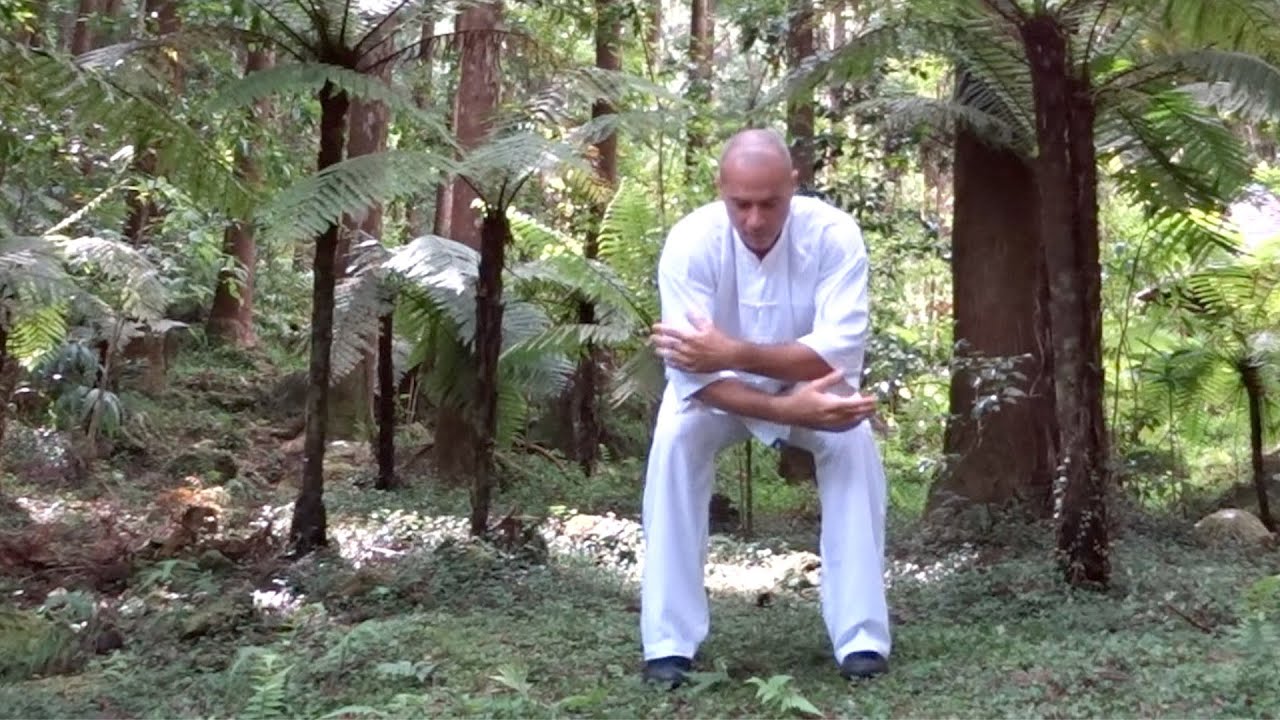 Qi Gong pour les poumons et le coeur - Qi Gong for the lungs and the heart