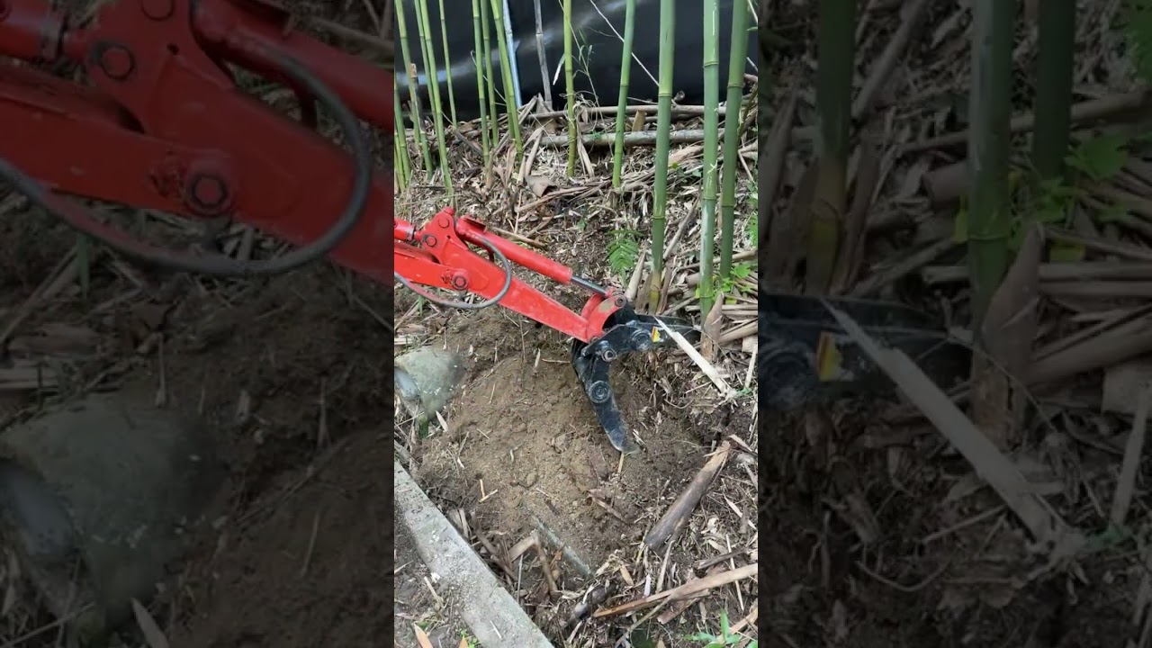 Battle of the Backyard #22–#24 | Excavator Timelapse