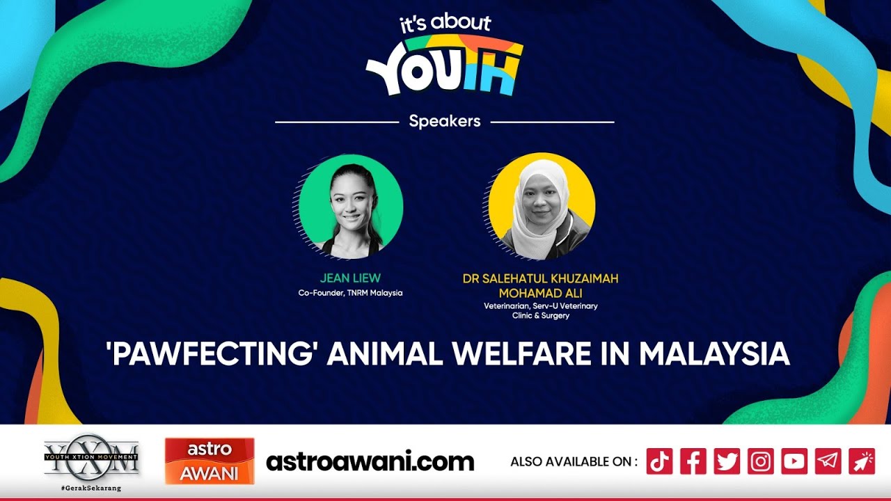 It's About YOUth: Dealing with Msia's stray animal dilemma