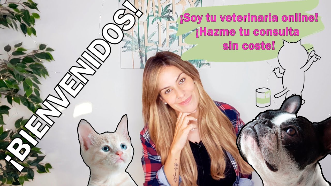 ¡Bienvenidos a Vetropía! ❤