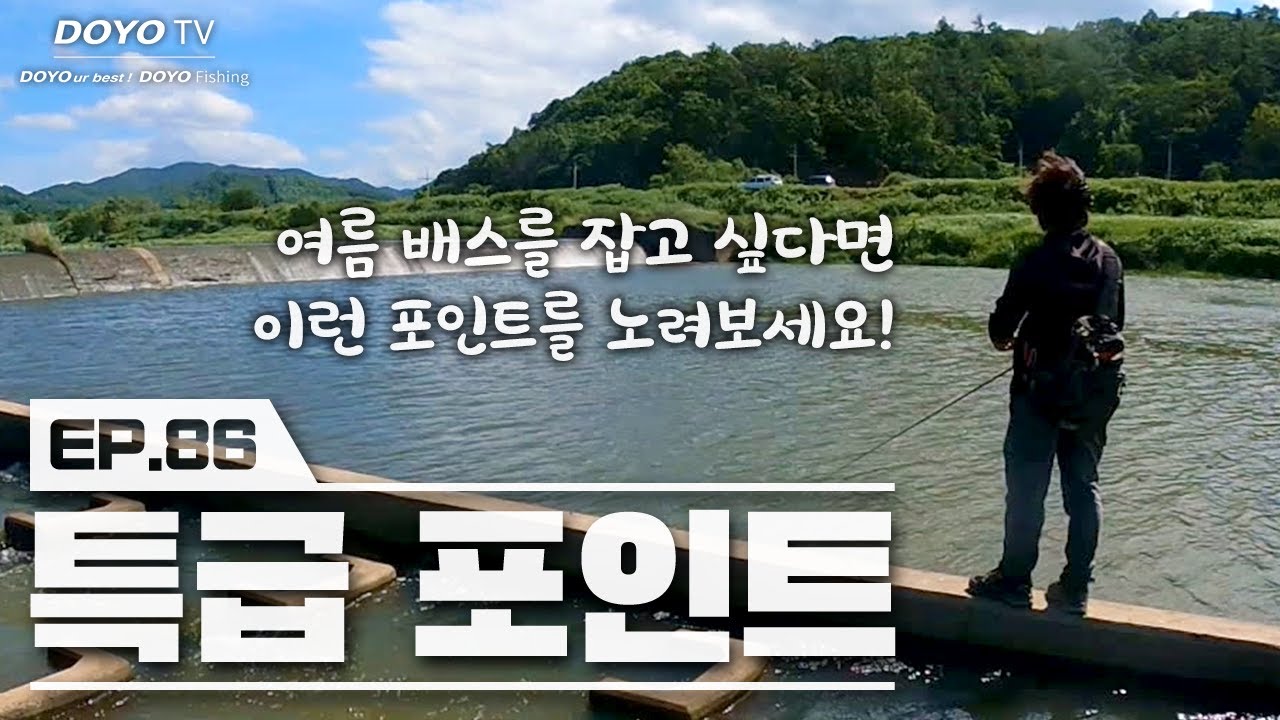 [도요TV ep.86] 한 여름 배스들은 어디에 숨어있을까?