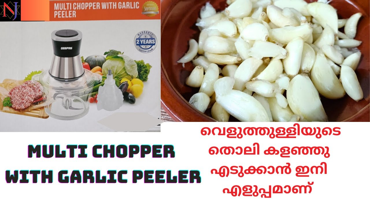 Multi Chopper With Garlic Peeler/Electric Chopper Review/ഇലക്ട്രിക് ചോപ്പർ/Garlic Peeler/Chopper