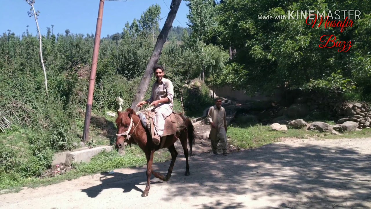 Hamchipora khag budgam 193411