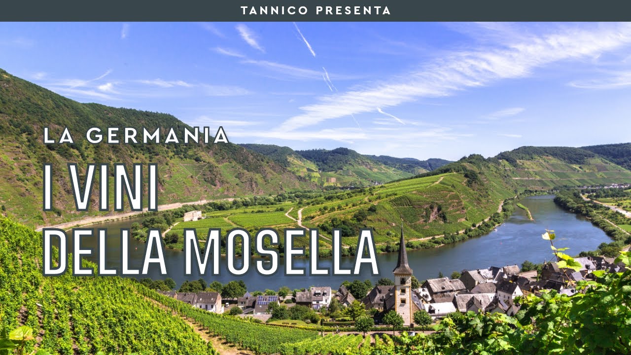 I vini della Mosella, patria del Riesling | Tannico Flying School