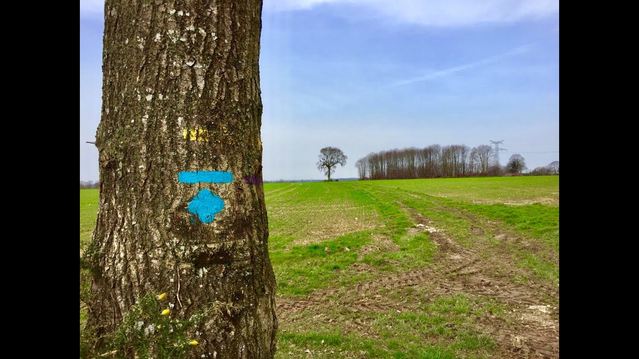 Le Sentier des 3 Abbayes en Broc&eacute;liande