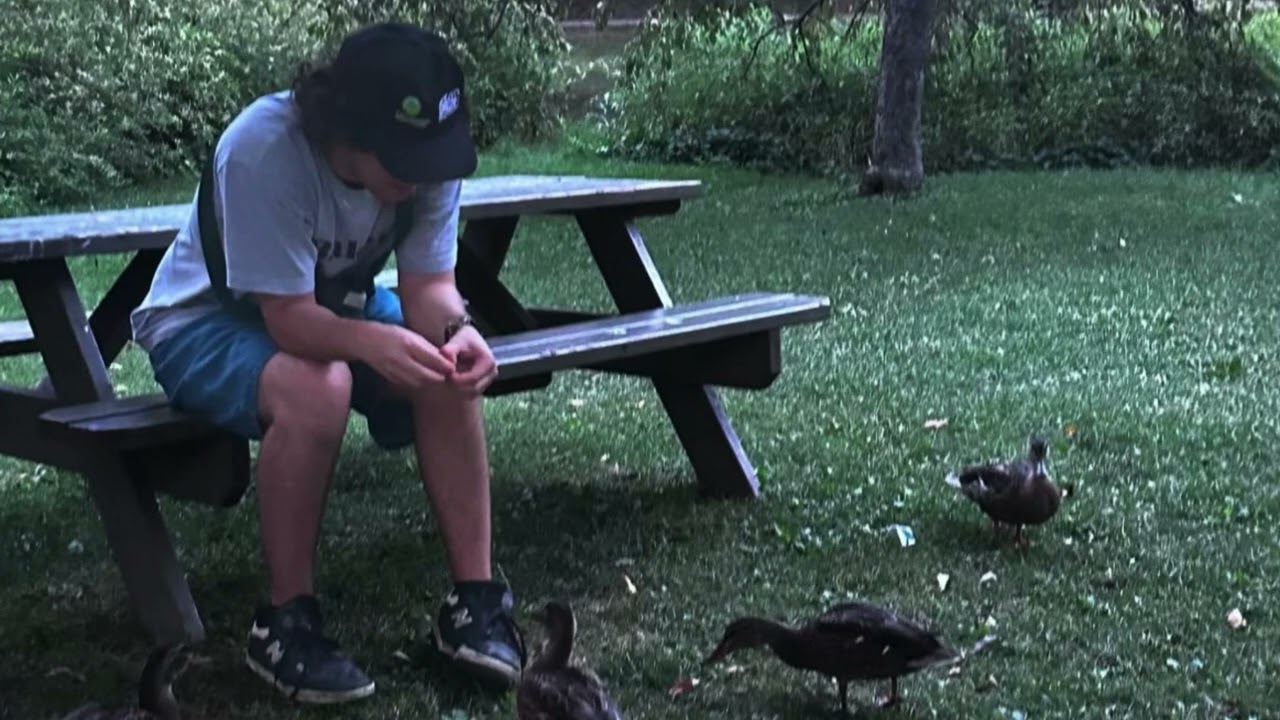 Theory of Ducks - In Over My Head