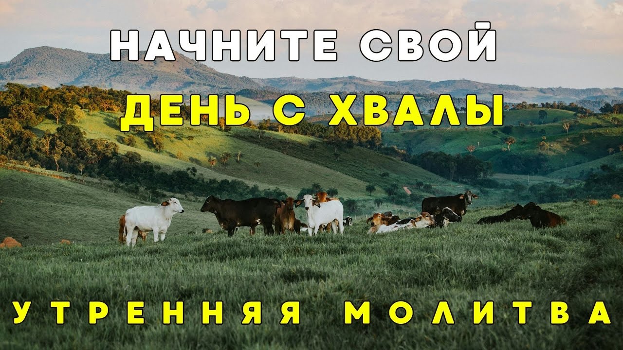 Я буду восхвалять Тебя даже в муках | Утренняя молитва в трудные дни