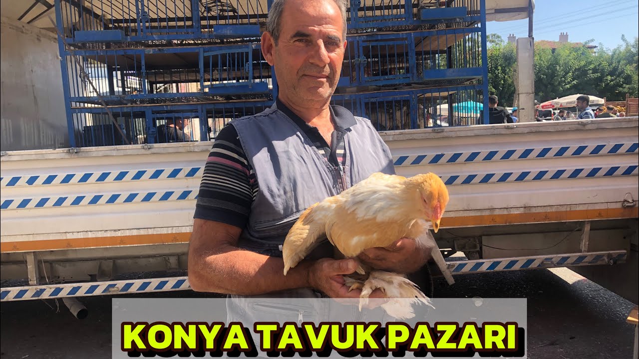 KONYA KANATLI HAYVAN PAZARI 