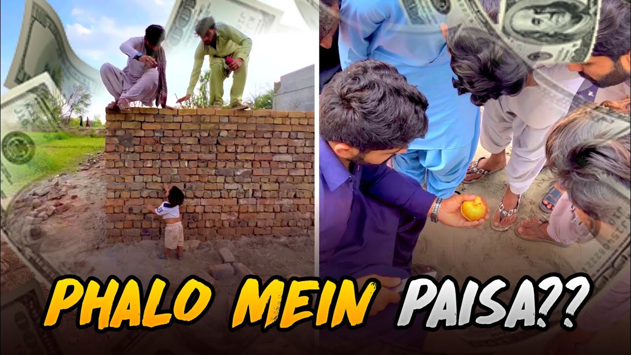 Phalo Mein Paisy Kaisy?? | Zubair Zk