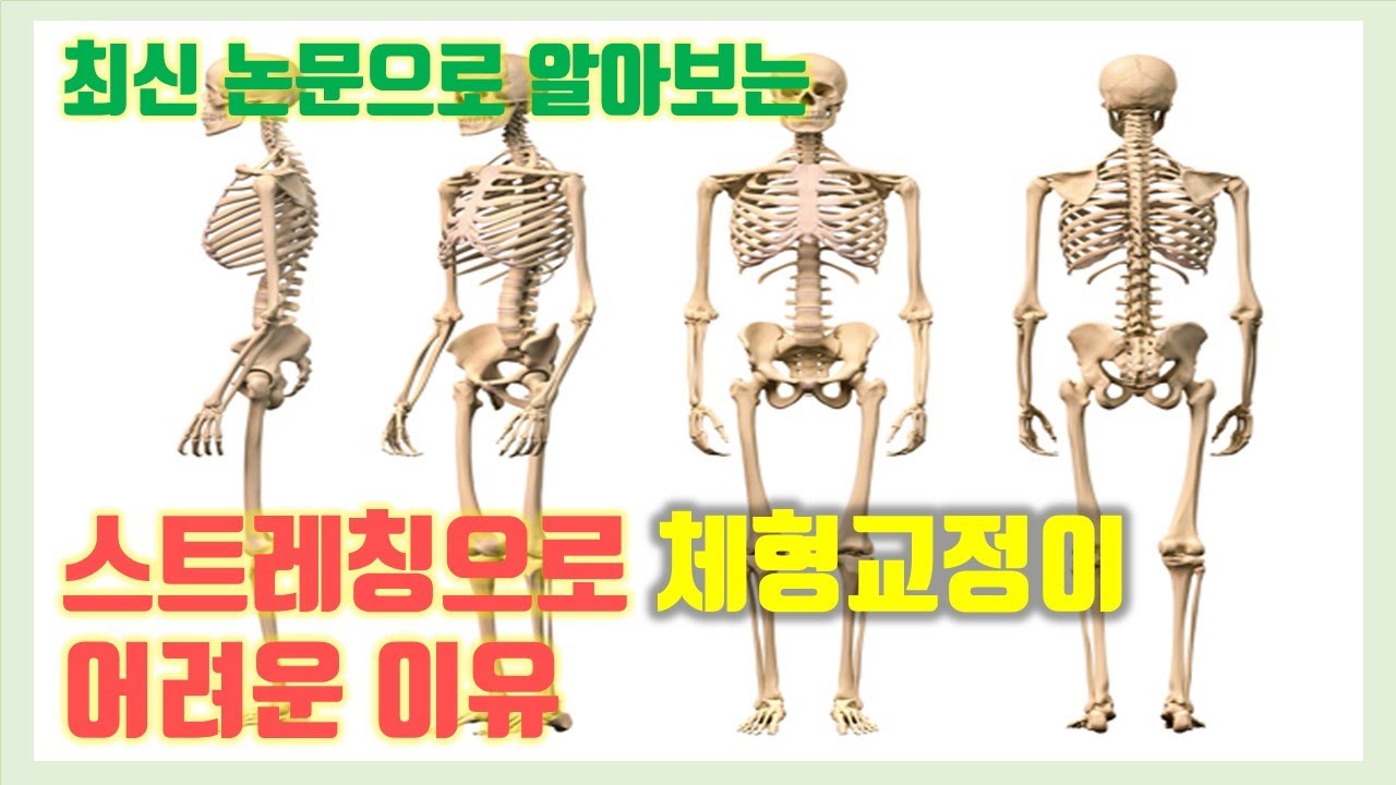 체형교정 골반교정 시작 전 필수운동: 근육이 뭉치는 4 가지 이유와 솔루션
