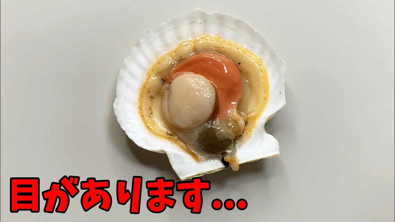あなたが知らないホタテガイの話【ホタテガイの生態】