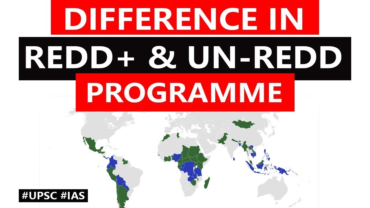 Difference in UN REDD Programme & REDD+ | United Nations Framework Convention on Climate Change