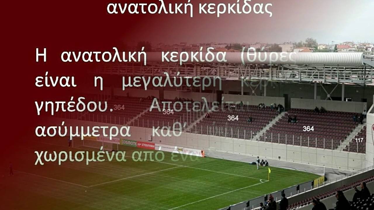 AEL fc Arena & μέτρηση της χωρητικότητάς του (ΑΕΛ )