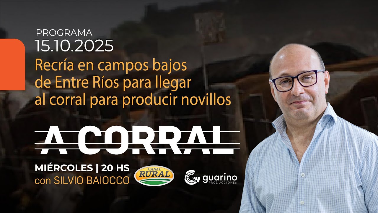 A Corral - Recría en campos bajos de Entre Ríos para llegar al corral para producir novillos