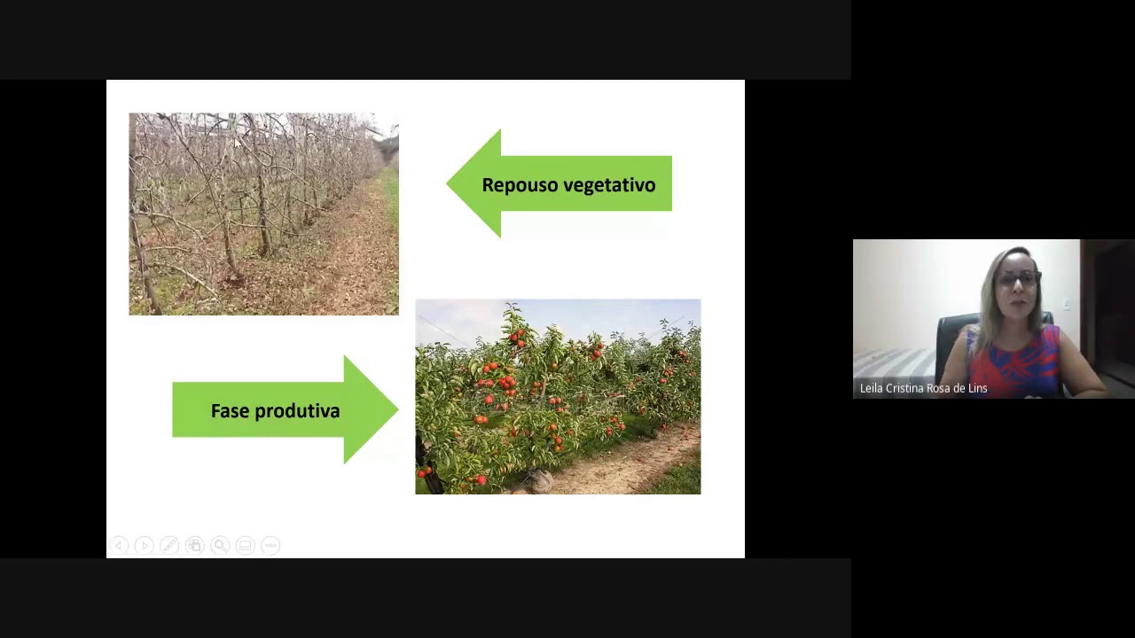 Fruticultura Geral - Engenharia Agronômica IFTO