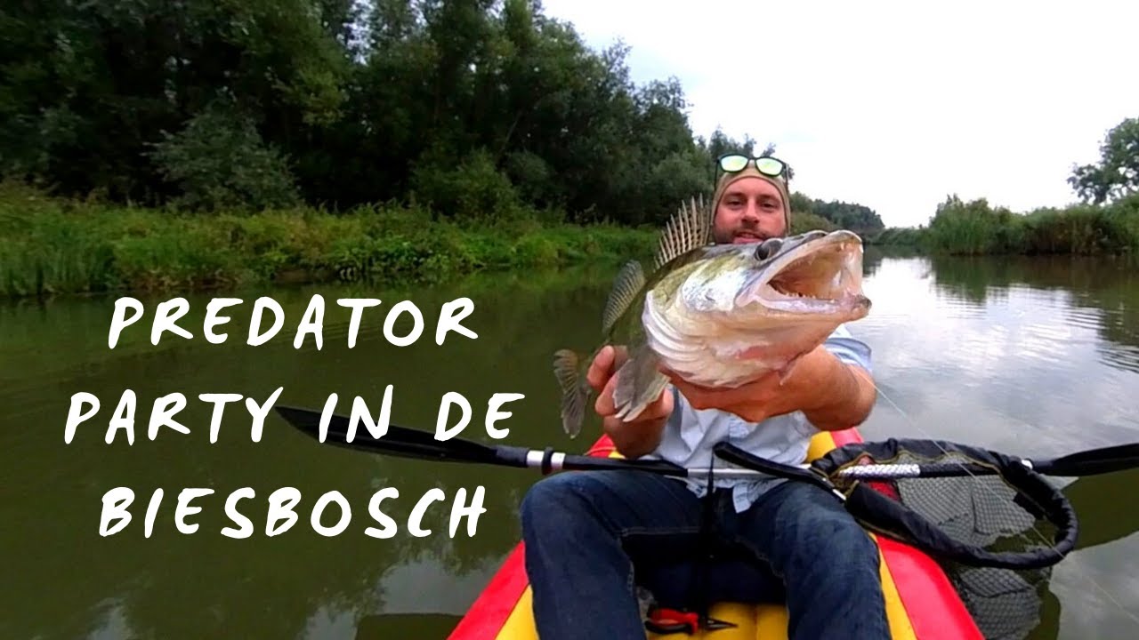 Predator Party in de Biesbosch - Snoek, Baars en Snoekbaars | VLOG #4