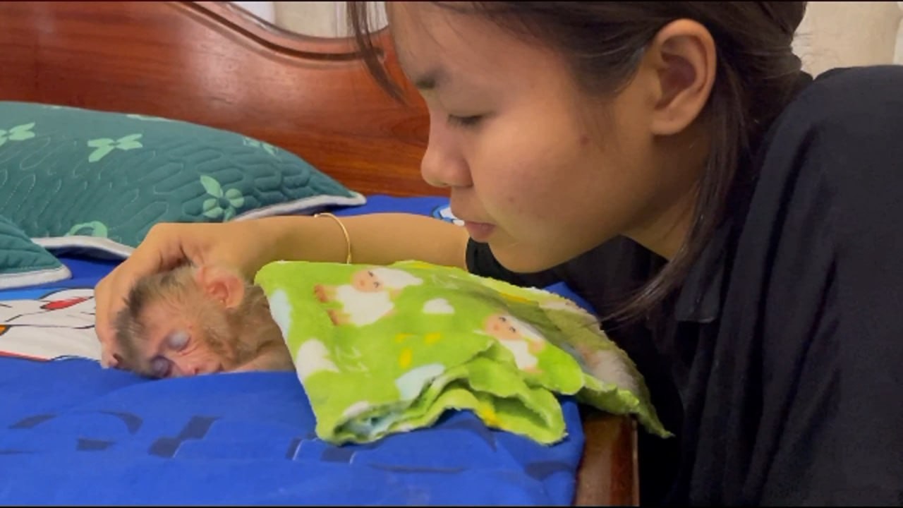 [Heart-Melt] Newborn Baby Feel Weakness Fall Asleep For First Night With Mom