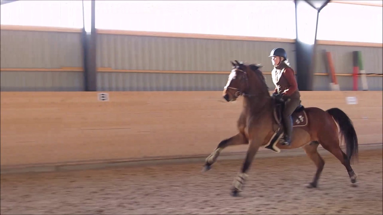 Heart Paal - 13/2 2017- liten bana, blandad h&ouml;jd upp till 130cm