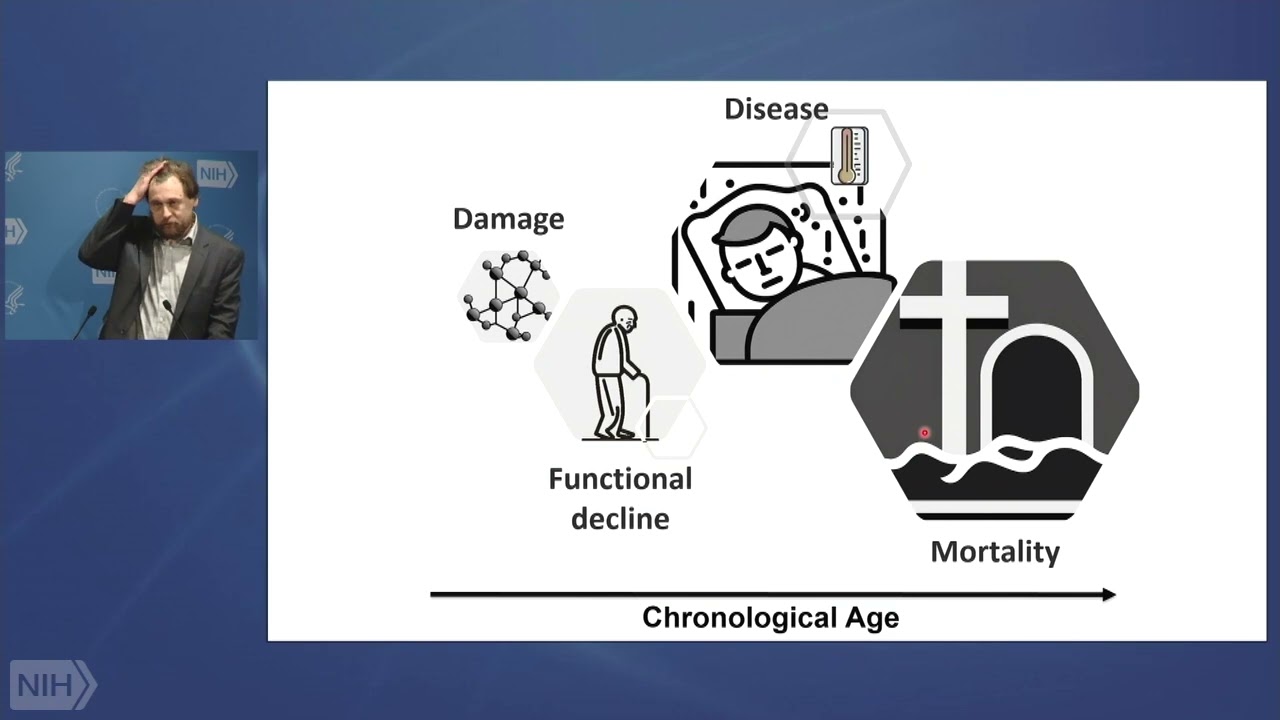 Targeting Aging, Longevity and Rejuvenation