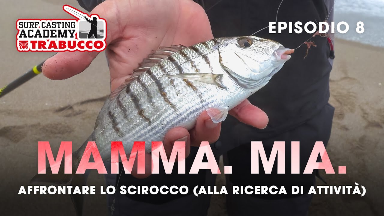 Pesca con FORTE VENTO: e affrontiamolo, questo SCIROCCO » SURFCASTING Academy S5E8@trabuccofishing