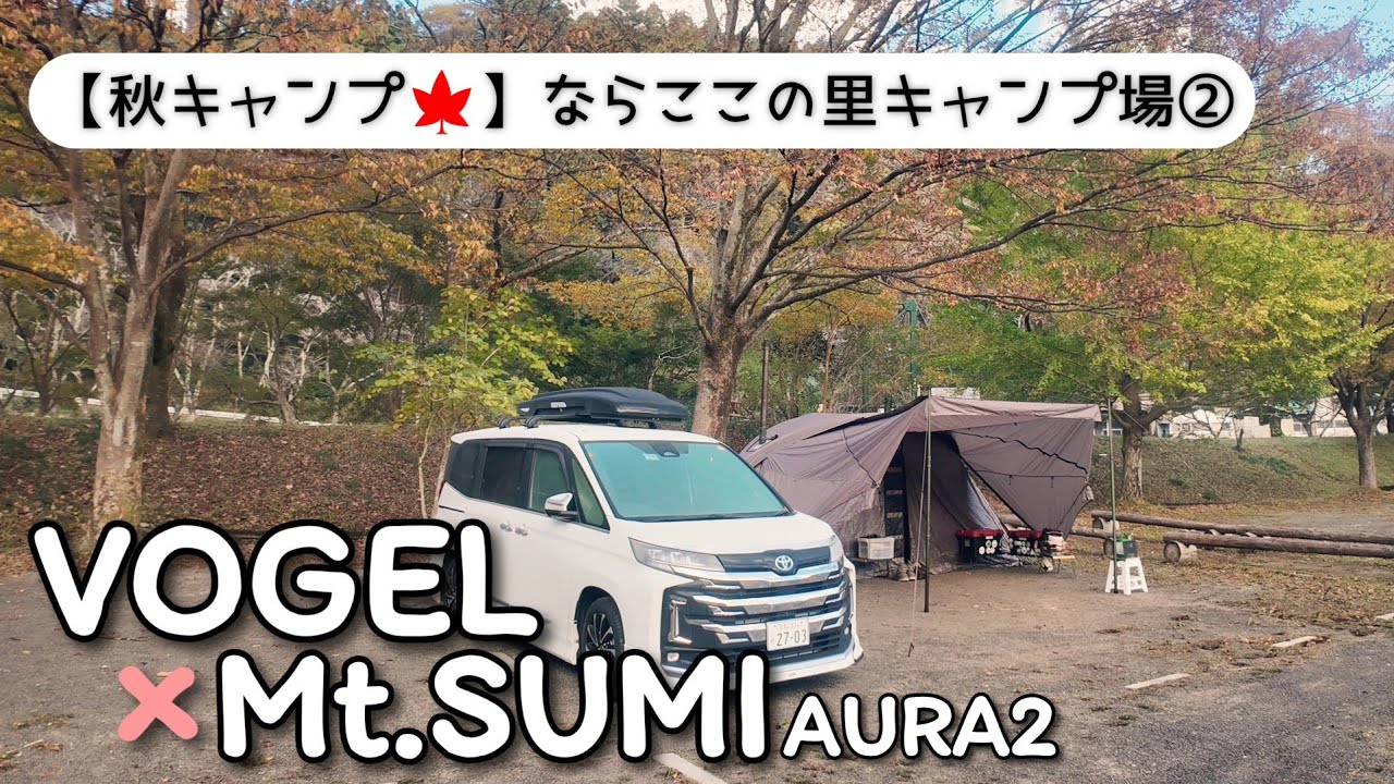 【薪ストーブ】今季初の薪ストキャンプ☆ならここの里キャンプ場