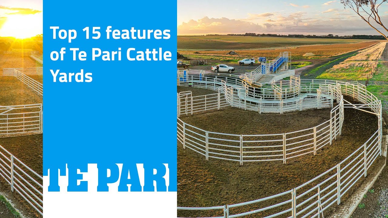 Te Pari Steel Cattle Yards | Top 15 Features