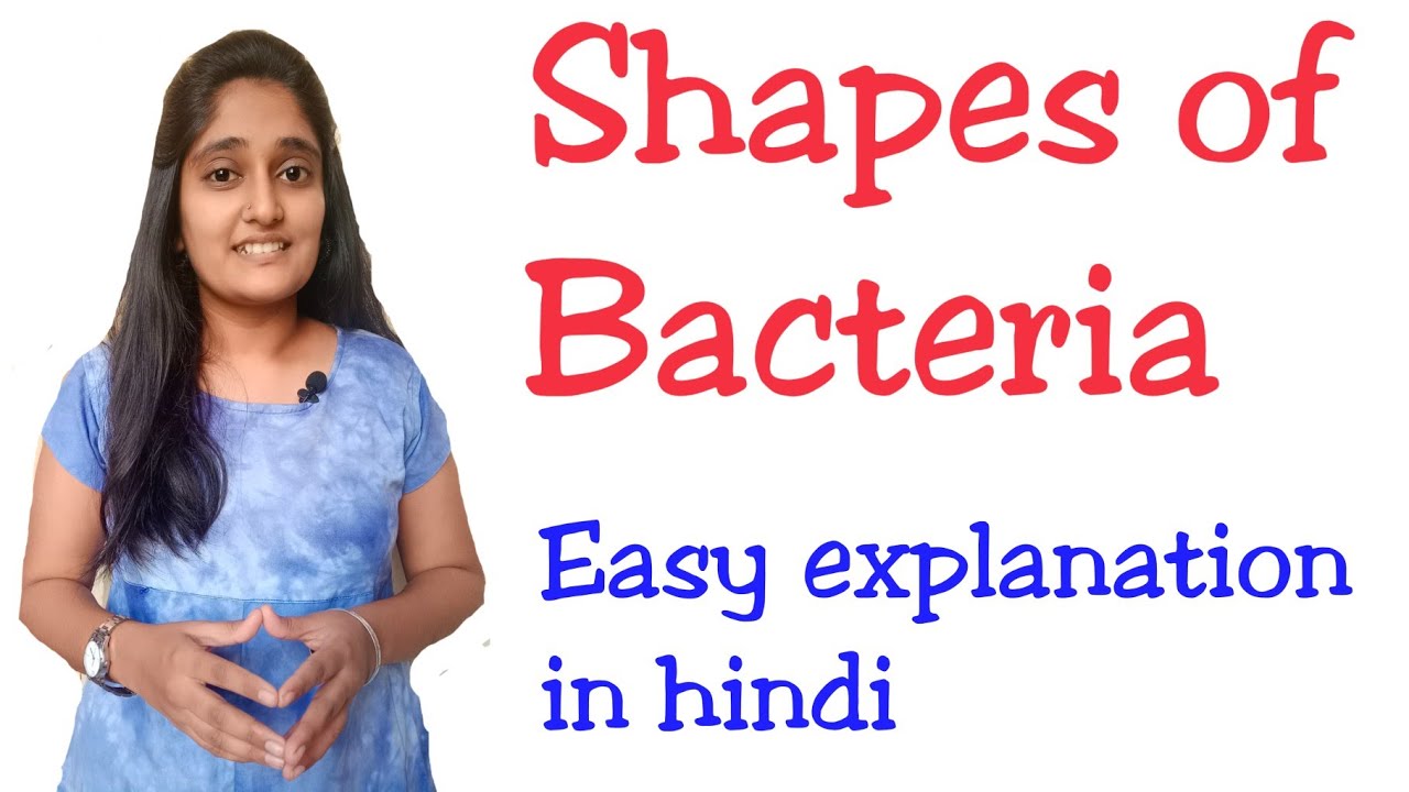 Shapes of bacteria easy explanation in hindi