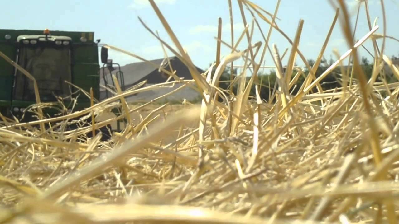 Żniwa z JD 2013 - Akcja żyto